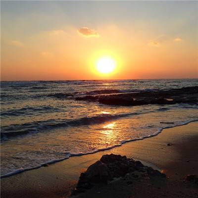 ManBetX全站下载截图