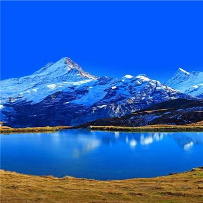 棋牌游戏手机app下载