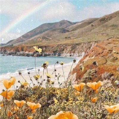 海星体育app下载ios