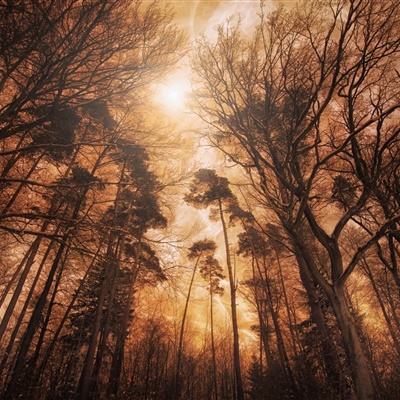 71771威尼斯.Cmapp下载