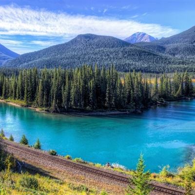 加拿大pc软件平台app下载