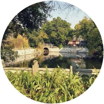 bte365真正的网站