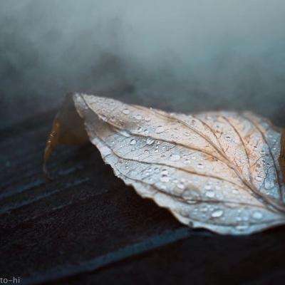 pg电子·模拟器(试玩游戏)